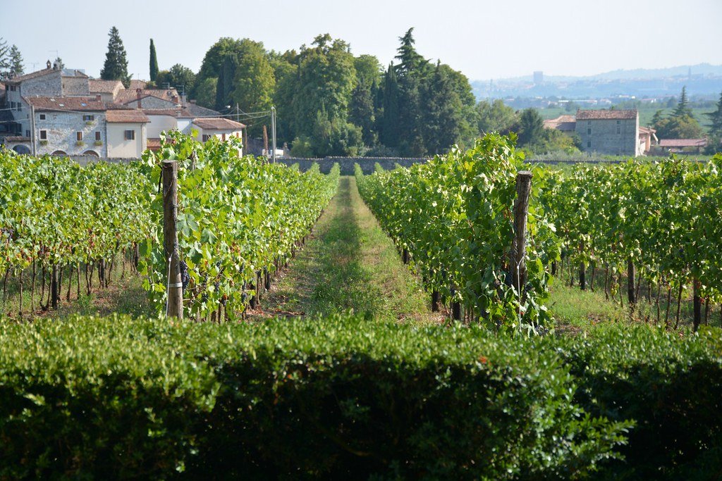Sant’Ambrogio di Valpolicella