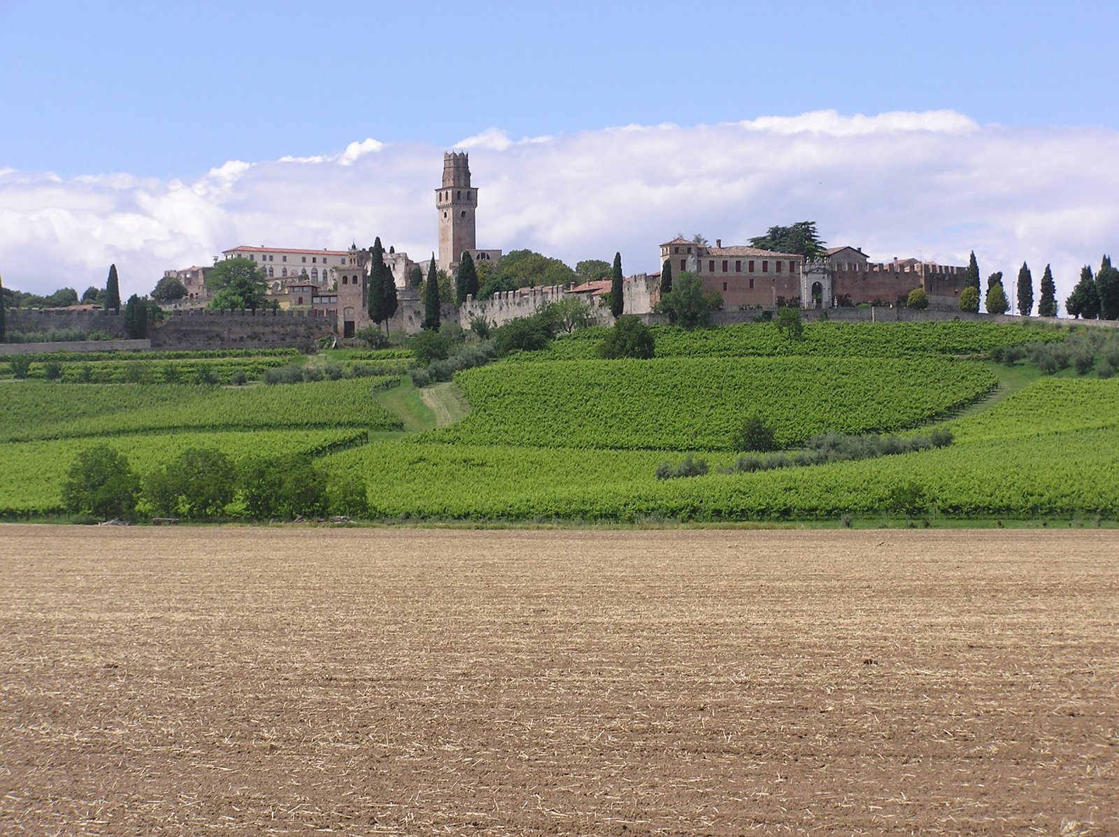 Susegana