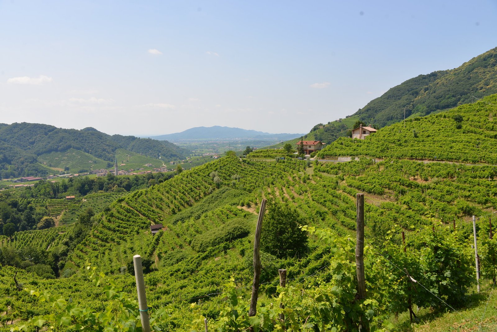 Valdobbiadene