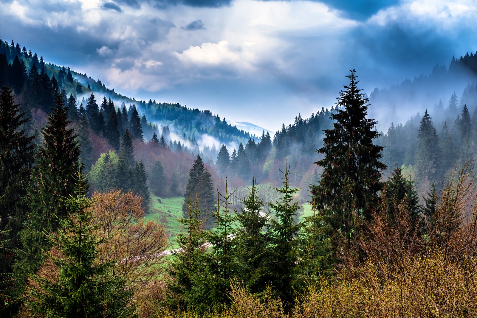 Asiago