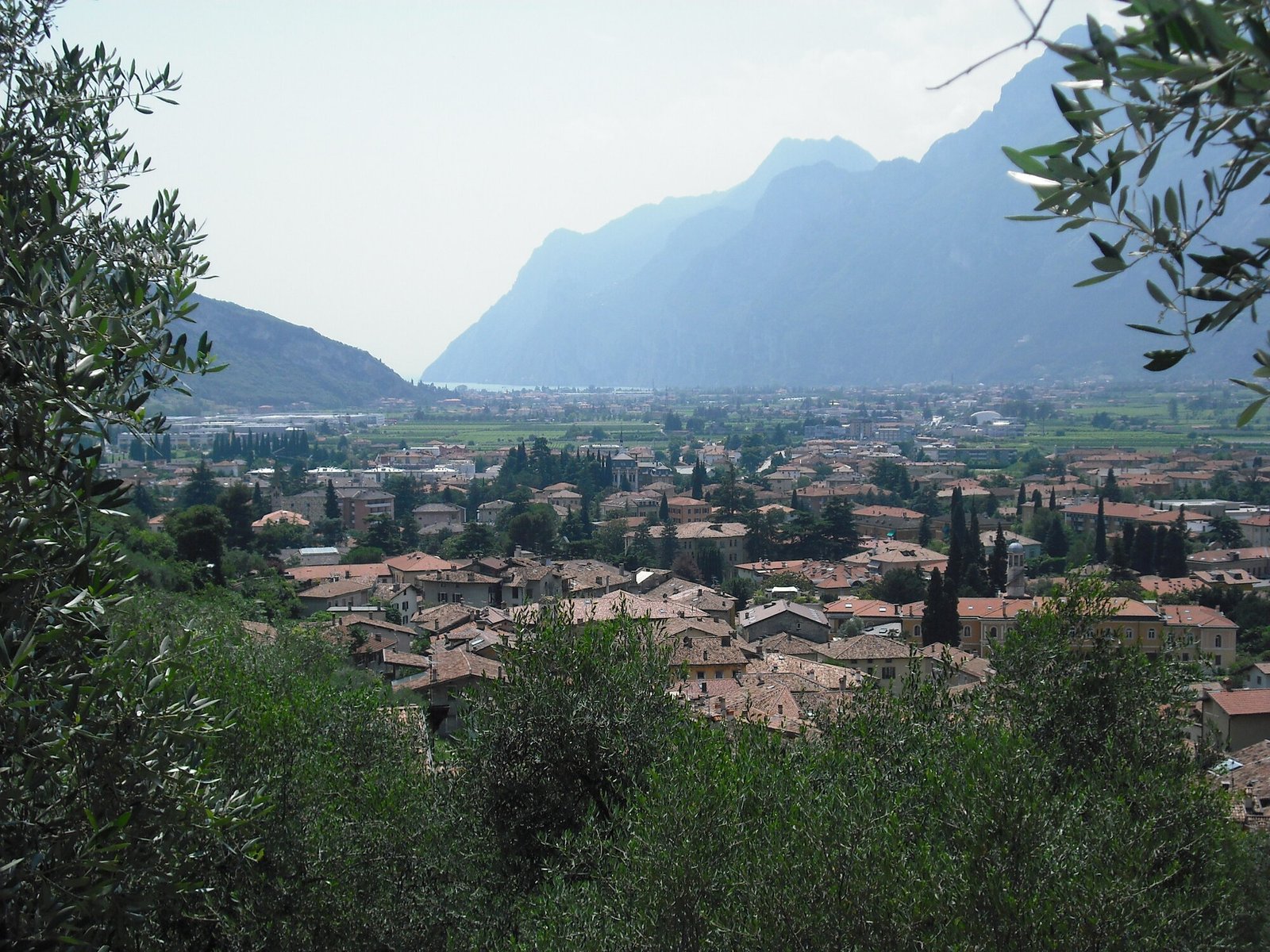 Arco