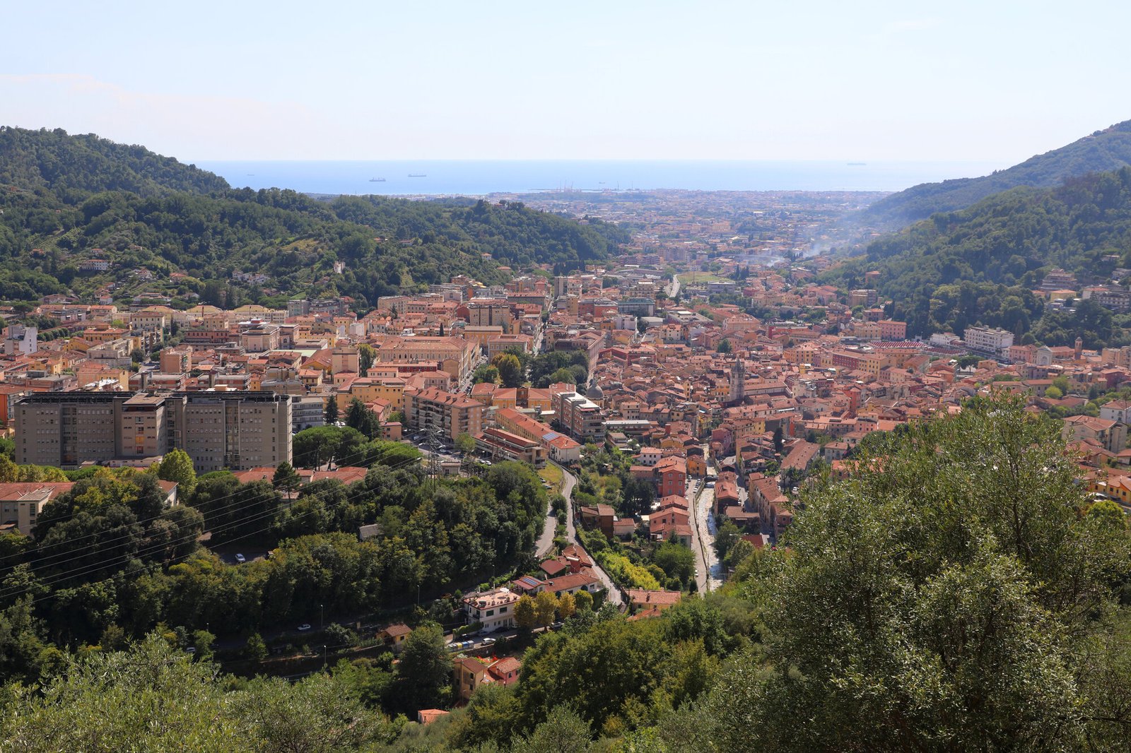 Carrara
