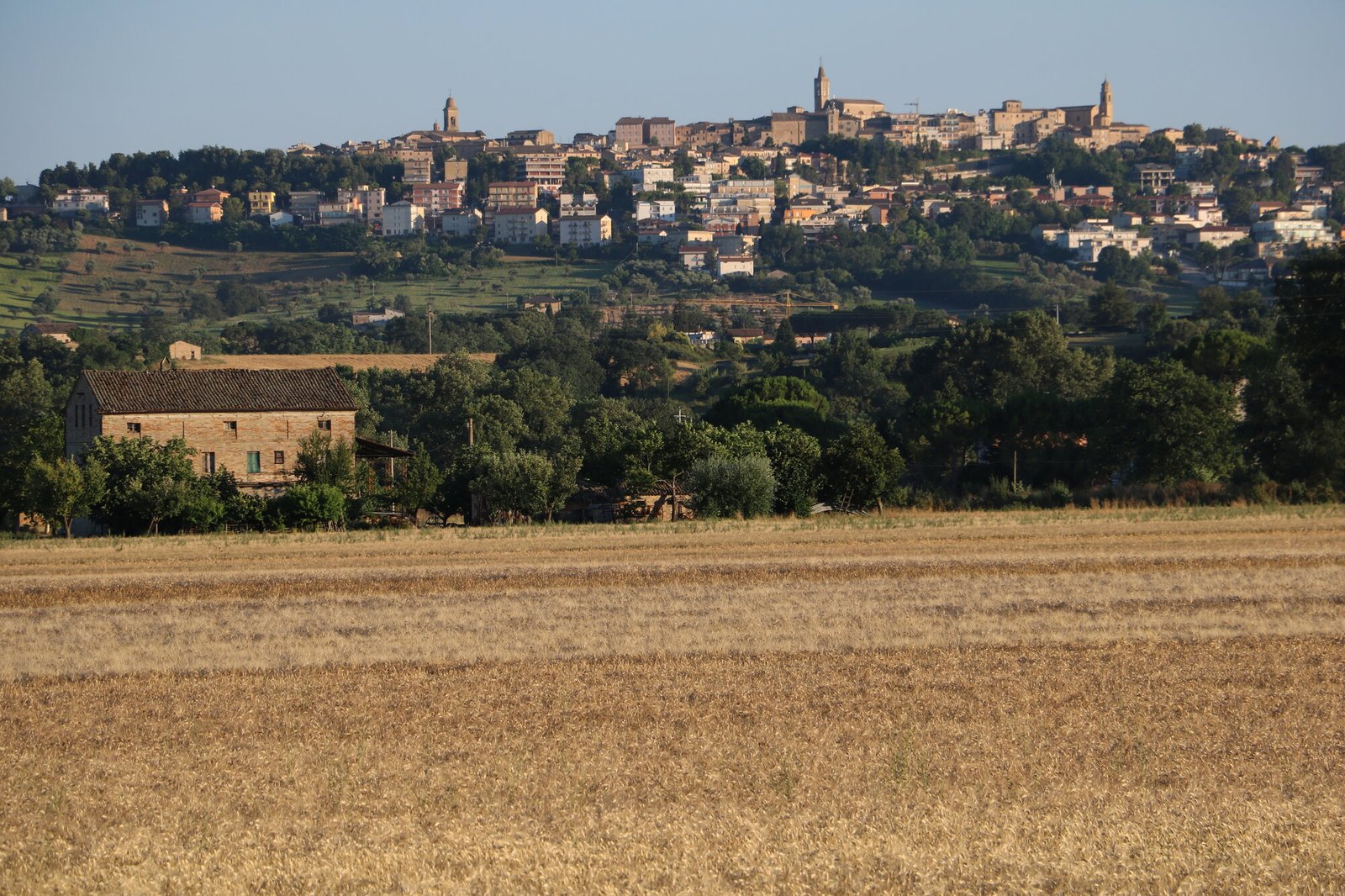 Corridonia