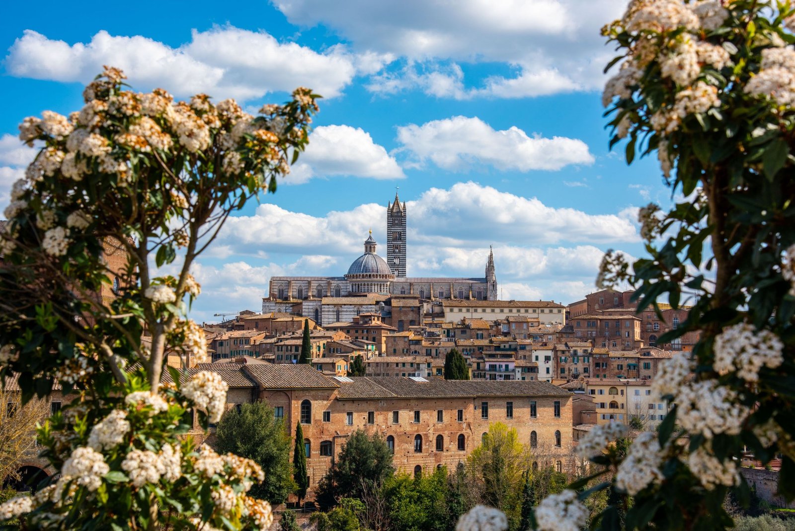 Siena