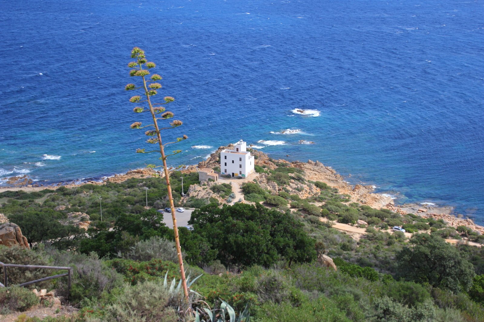 Siniscola