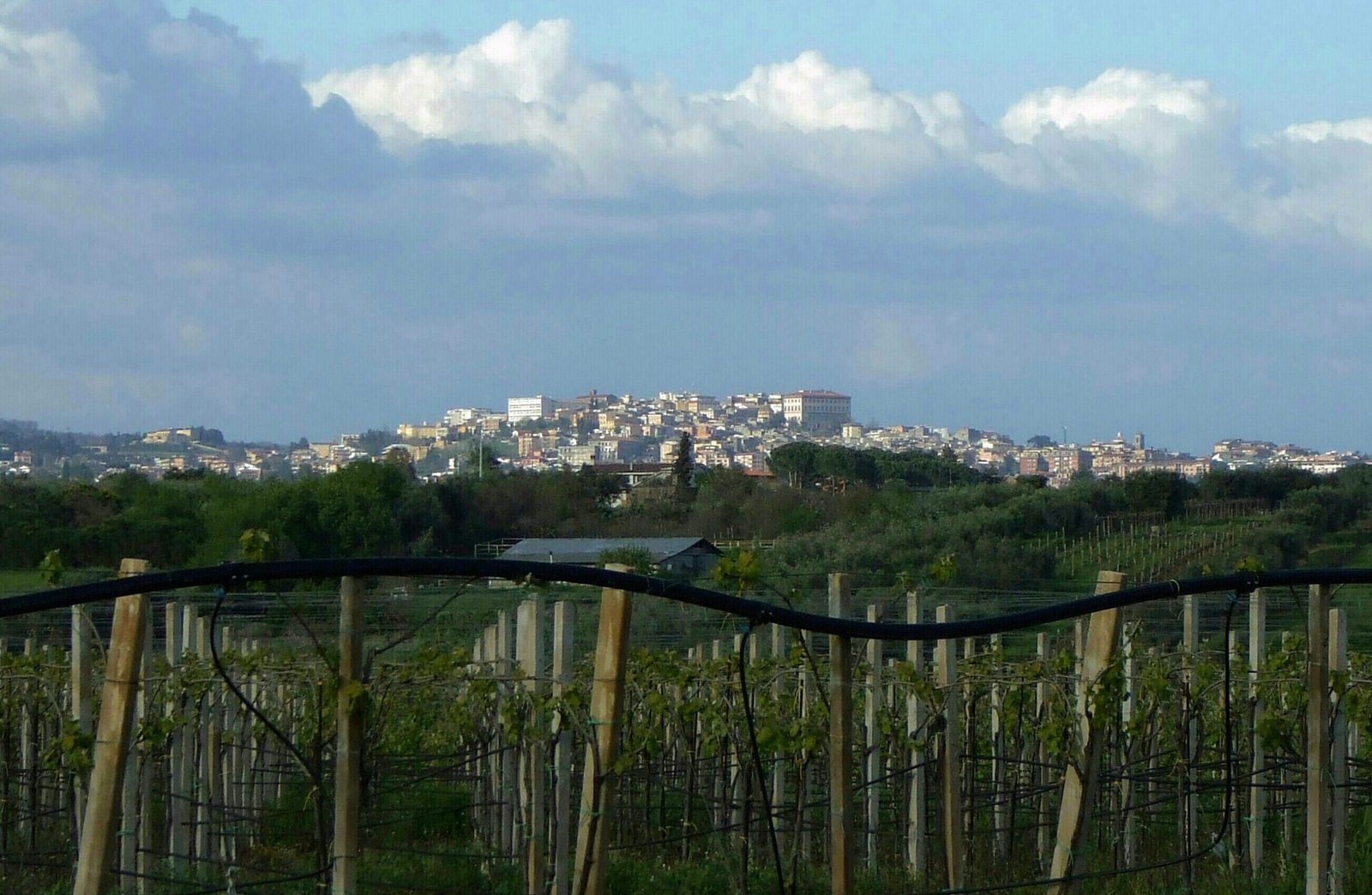 Velletri