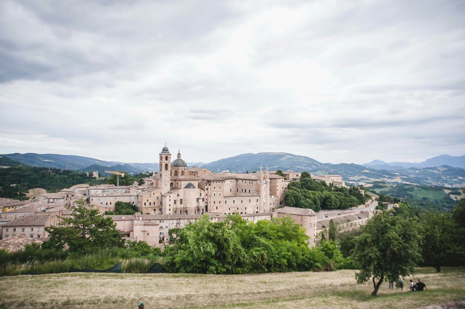 Urbino